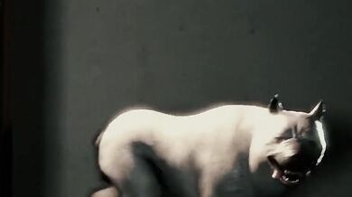 Japanese Pussy Fucked by a Dog Toy