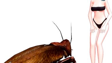 Insect Fucking Positions