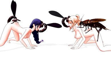 Insect Fucking Positions