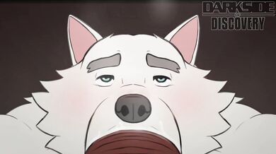 Bear Cop and Wolf - The Ultimate Furry Encounter