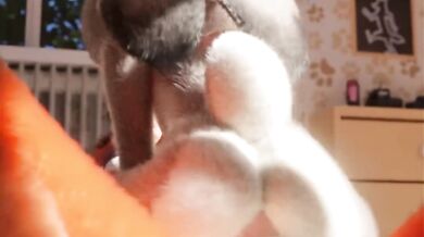 Judy Hopps HMV: Turning the Bass Up