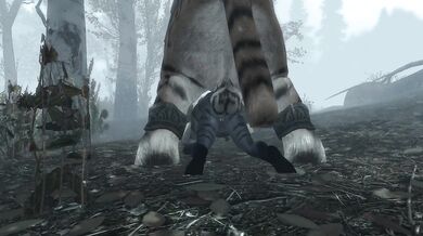 The Erotic Adventures of the Khajiit Thieves in Skyrim