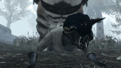 The Erotic Adventures of the Khajiit Thieves in Skyrim