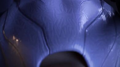 - Myriad Hues of the Sapphire Lady: A Symbiotic Love Story
