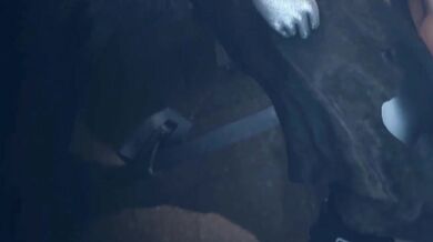 Another Fucking Day with Resident Evil Hentai Porn