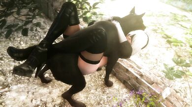 Doggy Style and Horseplay with Bitches: A HMV Bestiality Collection