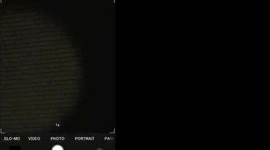 Ghostbusting Claire's Paranormal Adventure