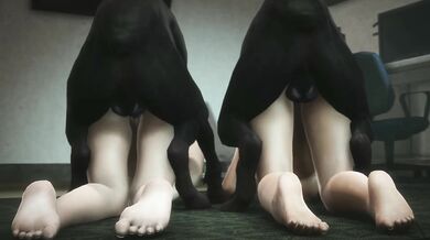Ada and Claire's Intimate Bondage Adventure [Noname55]