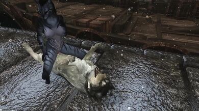 Young Khajiit De-stresses Dockworkers with Sexual Favors