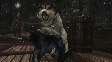 Young Khajiit De-stresses Dockworkers with Sexual Favors