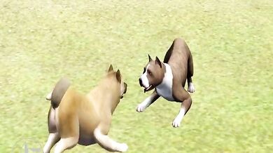 Pups in Heat: The Dog Park Debauchery