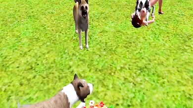 Pups in Heat: The Dog Park Debauchery