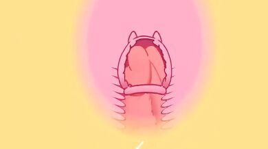 - Ankha's Dressing Room Antics