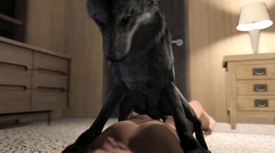 Human Male Fucks Female Wolf