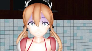 The Rear Entry Campaign of the Prince