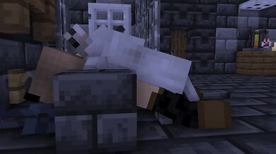 Furry Fuckers: Minecraft Cat Girl Gets Pounded by a Wolf in the Woods