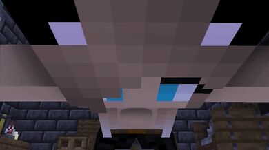 Furry Fuckers: Minecraft Cat Girl Gets Pounded by a Wolf in the Woods