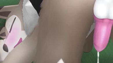 Lunchtime Lycarnroc and Zorarc 4K [Enokimaru]