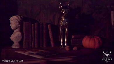 The Horniest Halloween on VHS - Wild 'n' Horny Studios