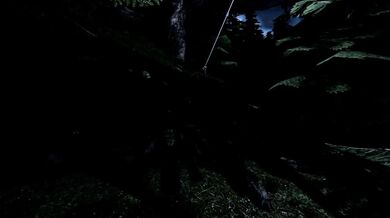 Erotic Torment: Black Mass Excursion