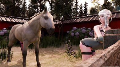 Kaine and the Horse - Bulging Bones 4K