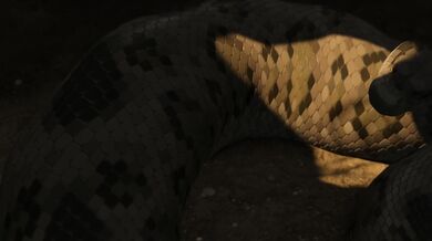 Luscious Lucia's Glorious Gulping Gorges on Her Prey, Part One: Silent Swallowing Sensation