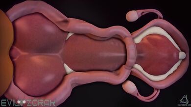 Buff Pup's Rustic Bump and Grind