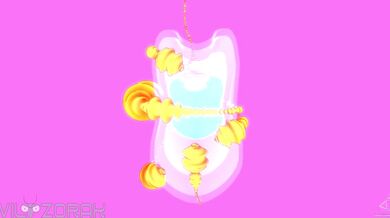 Buff Pup's Rustic Bump and Grind