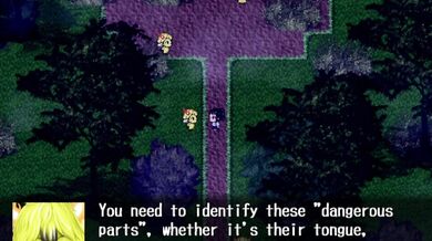 Furry Frenzy: The Kitsune's Revenge