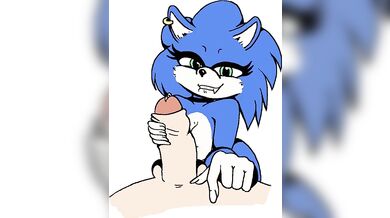 Sonic's Mother Fucking Adventure