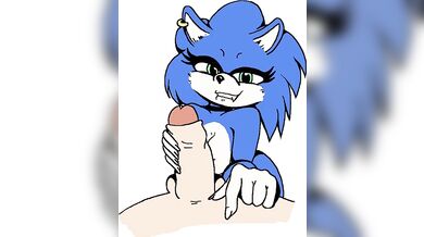 Sonic's Mother Fucking Adventure