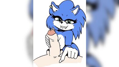 Sonic's Mother Fucking Adventure