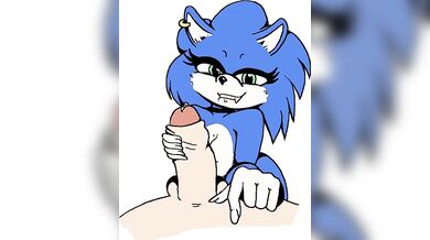 Sonic's Mother Fucking Adventure