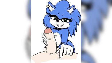 Sonic's Mother Fucking Adventure