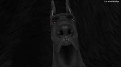 Gangbanged by Canines: A Slut's Public Humiliation