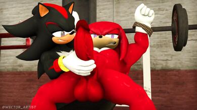 Shadow and Knuckles - A forbidden love story of a dark hedgehog and his best friend's brother, a hot red echidna with spikes.