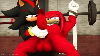 Shadow and Knuckles - A forbidden love story of a dark hedgehog and his best friend's brother, a hot red echidna with spikes.