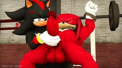 Shadow and Knuckles - A forbidden love story of a dark hedgehog and his best friend's brother, a hot red echidna with spikes.