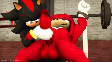 Shadow and Knuckles - A forbidden love story of a dark hedgehog and his best friend's brother, a hot red echidna with spikes.