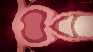 Shiina's Erotic Adventures in HD