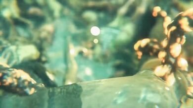 Ada's Slimy Tentacles Refill Her Insides