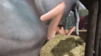 The Farmer's Daughter and the Donkey - Amy's Exploration