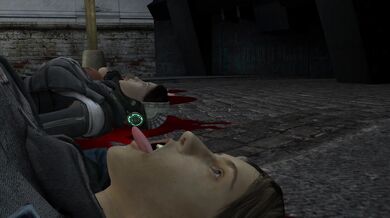 Half-Life 2: The Orgy After the Apocalypse