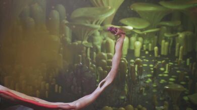 Alien Fuckers vs. Sexy Elves: A Sci-Fi Fantasy Porn Parody