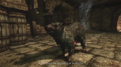 Squeaky Dreams of Steel