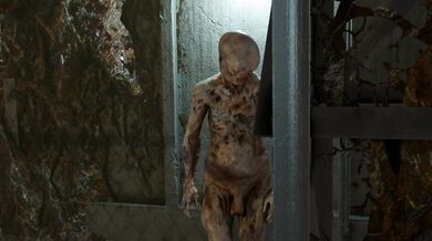 Cum inside me with all your load, my dear gamma!