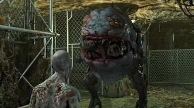 Cum inside me with all your load, my dear gamma!