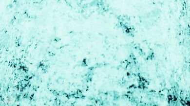 Ada Wong's D-Virus Residence: A French-Subbed Desire in Despair