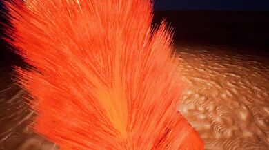 The Seductive Fox-Woman