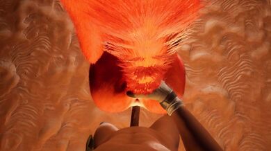 The Seductive Fox-Woman
